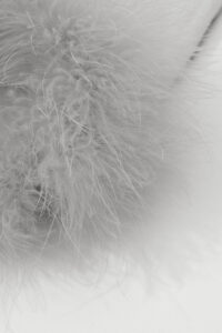 Close-up of soft grey feather trim detail on the Diva Feather Women's Trimmed Short Slip Dress.