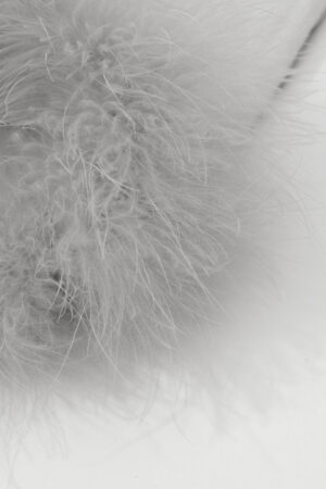 Close-up of soft grey feather trim detail on the Diva Feather Women's Trimmed Short Slip Dress.