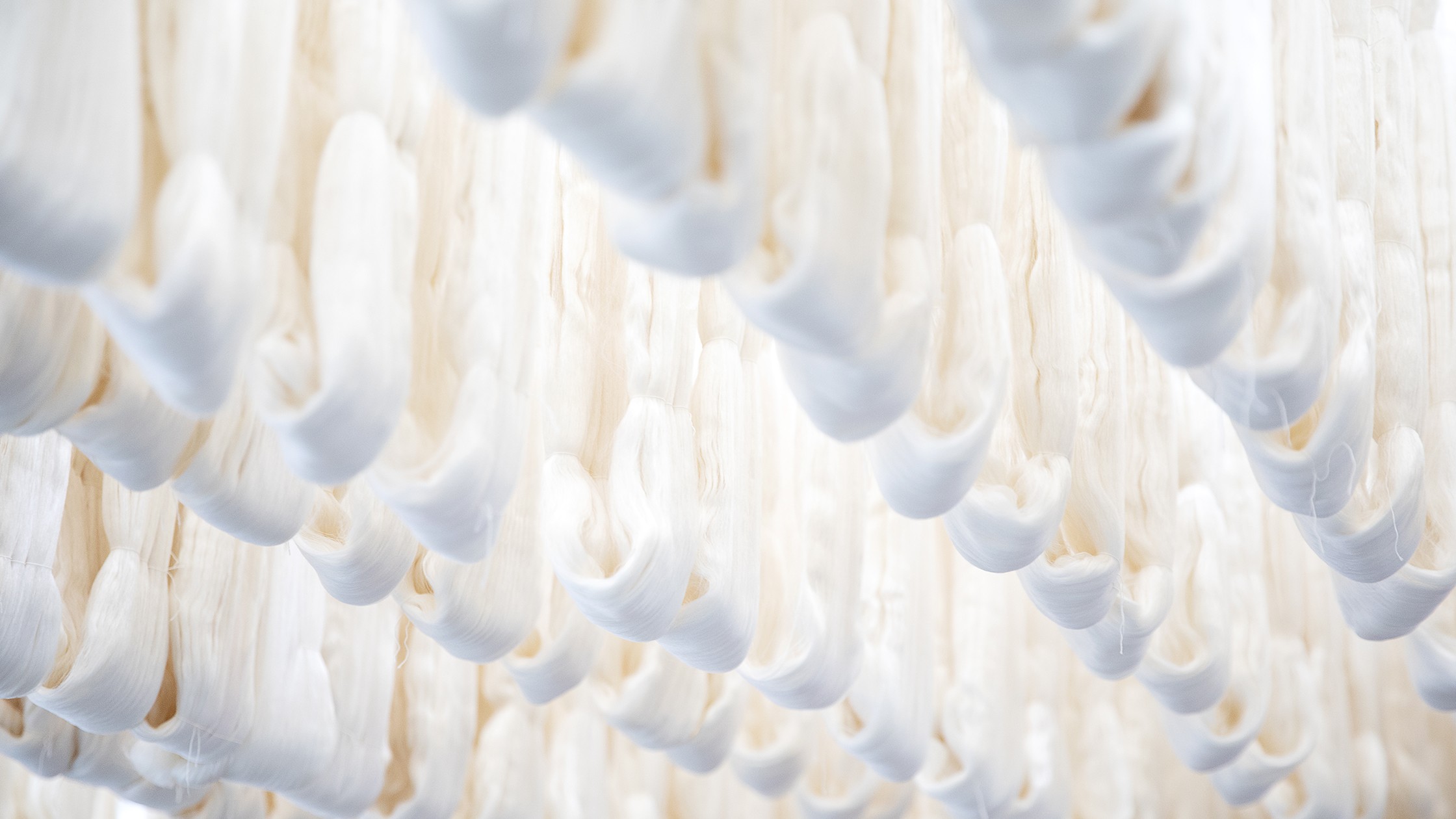 Close-up of organic, eco-friendly silk fibers hanging in a sustainable silk production facility, emphasizing the natural and renewable aspects of silk textiles.